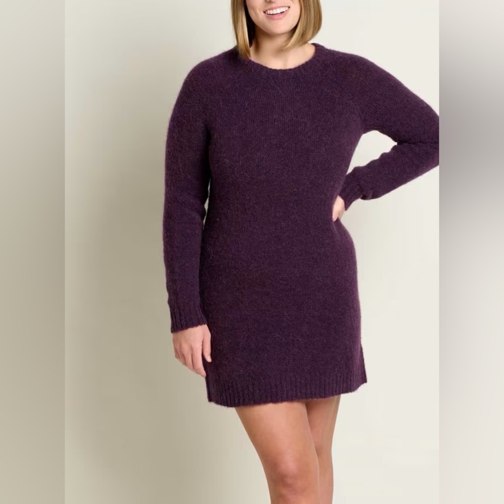 Toad&co Toddy Crew Sweater Dress purple new